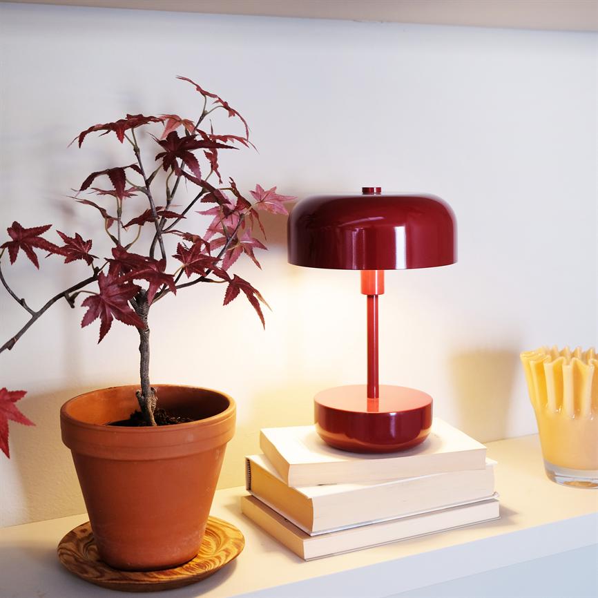 Rote Tischlampe leuchtet sanft auf einem Bücherstapel; steht auf einem weißen Regal vor einer weißen Wand neben einem Terrakottatopf mit rotem japanischem Ahorn und einem gelben Kerzenständer.