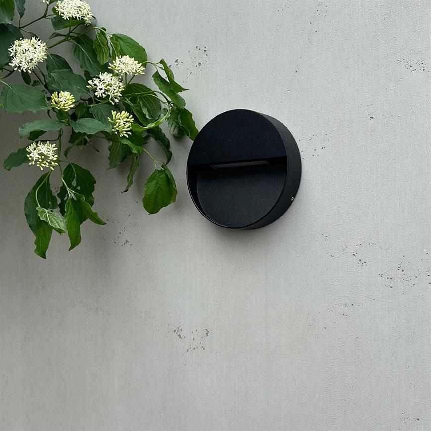 Rund, sort væglampe sidder monteret på en glat, grå betonvæg; til venstre hænger grønne blade og små hvide blomster fra en klatreplante.