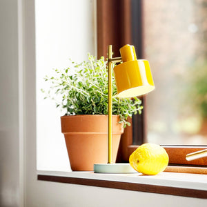 Ocean LED Mini Tischlampe Curry/Türkis